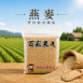 燕麥